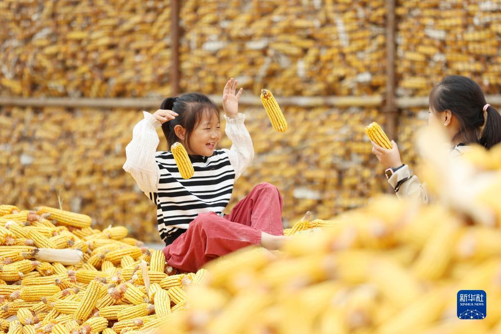手机购彩软件排行